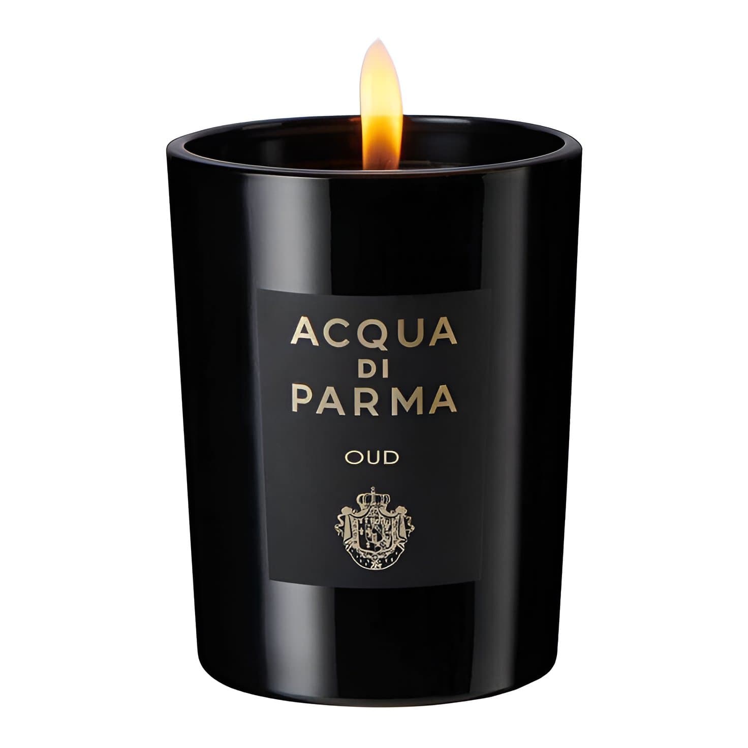 Acqua di Parma-Oud-Eau de Parfum-100ml